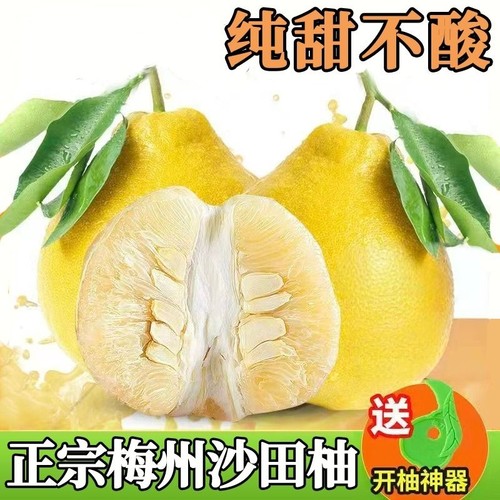 纯甜正宗梅州沙田柚广东金柚柚子白心肉当季孕妇新鲜水果包邮特色