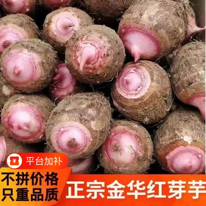 浙江金华新鲜红芽芋艿现挖毛芋小芋头芋子农家蔬菜5/3斤香芋软糯