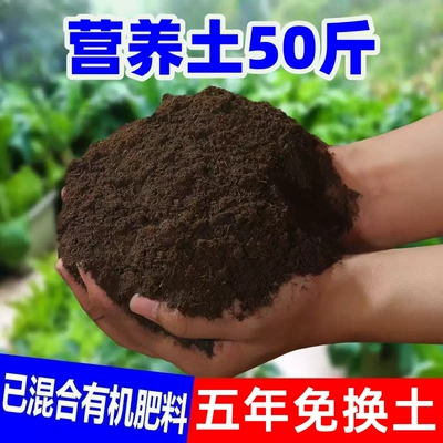 营养土养花通用型家用种花专用土土壤种植花土泥炭种菜土育苗椰砖
