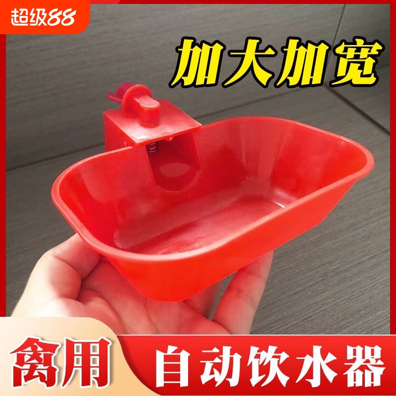 新款特大号鸡鸭鹅自动饮水碗喂水器加大加厚家禽宠物猫狗兔用水碗