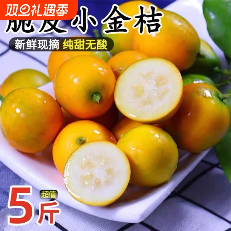 广西融安脆皮金桔鲜果5斤小金橘子应当季新鲜水果蜜金柑整箱包邮