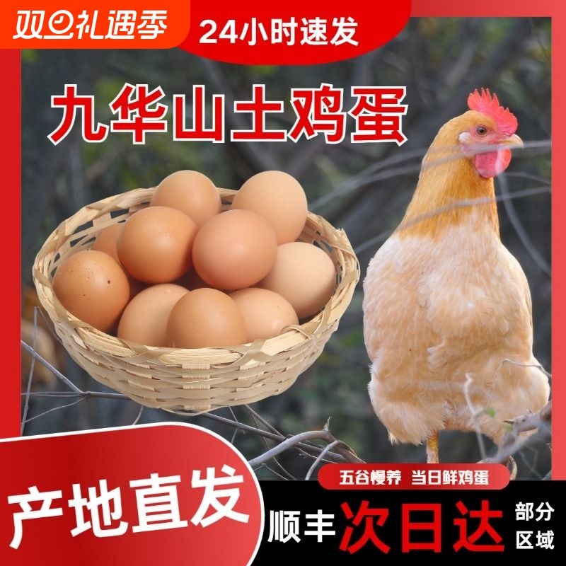 皖南土鸡蛋九华山高山散养土鸡蛋竹林蛋50枚产地直发顺丰包邮