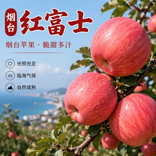 正宗陕西苹果脆甜山东红富士冰糖