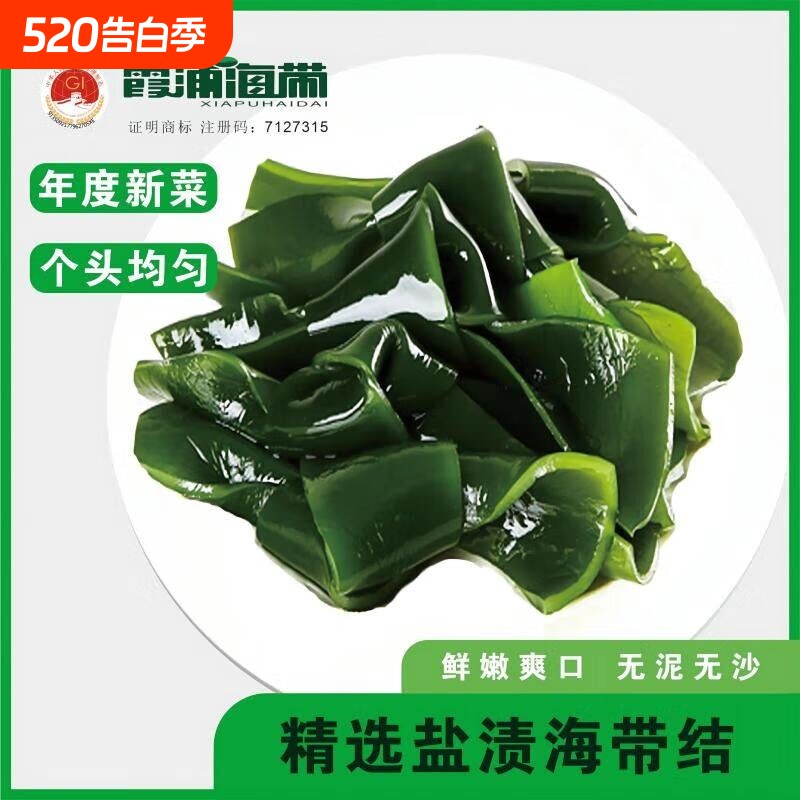 新鲜海带结特厚霞浦海带干海带非干货批发价盐渍海带海白菜海带扣