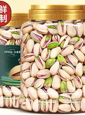 开心果新货大颗粒原色无漂白坚果干果炒货休闲零食含包装重500g