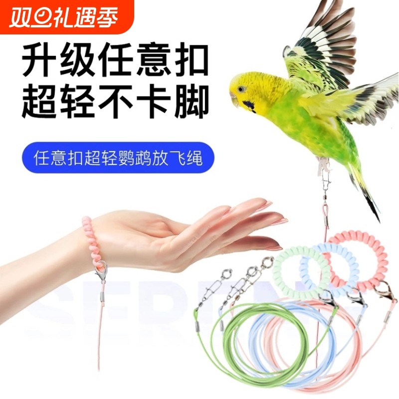 专用鹦鹉牵引绳放飞绳弹力不伤脚外出训练绳虎皮玄凤牡丹脚环脚链