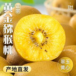 黄心猕猴桃G3黄金奇异果新鲜应季水果当季孕妇四川猕猴桃直发精选