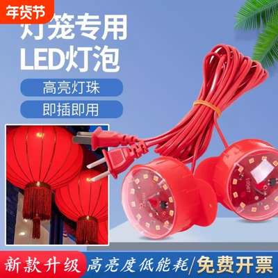 2米灯笼电线长大红灯笼led灯电源线阳台大门春节红灯旋转装饰灯