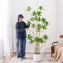 百合竹仿真绿植盆栽大型室内装饰花摆件客厅落地高级仿生假树植物
