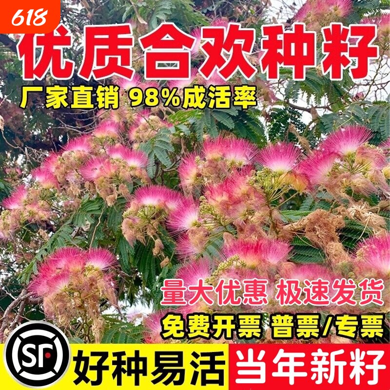 合欢种籽新采绒花树籽 耐盐碱护坡固土荒山绿化 庭院观赏乔木种子