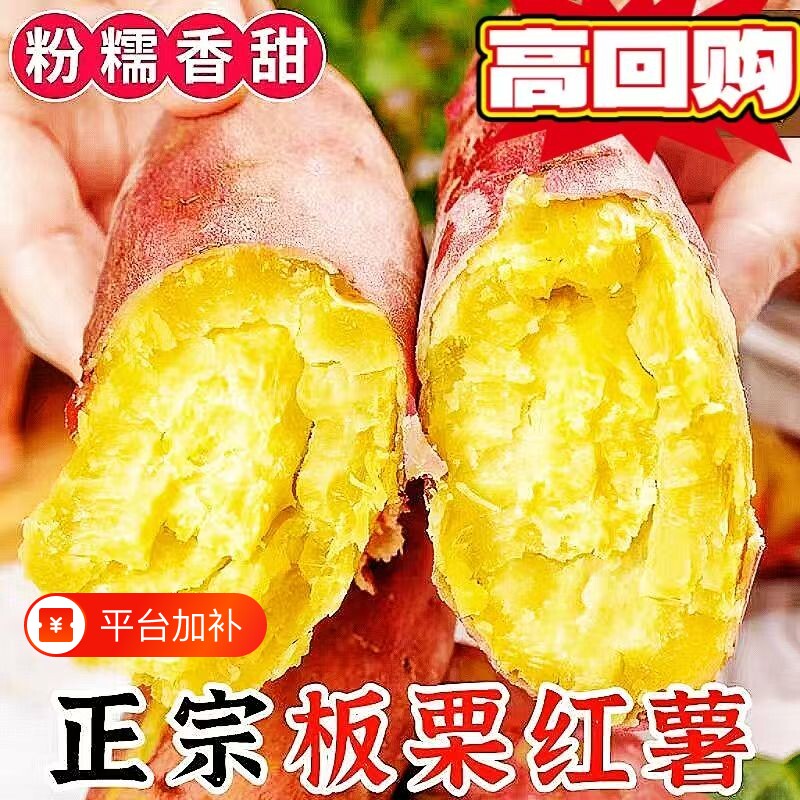 红薯新鲜沙地蜜薯板栗红薯糖心地瓜香薯山芋农家自种现挖红皮黄心