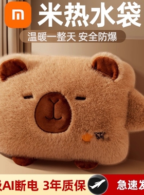 热水袋暖水袋暖手宝充电式暖宝宝毛绒女防爆热宝2025新款正品电热