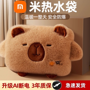 热水袋暖水袋暖手宝充电式暖宝宝毛绒女防爆热宝2025新款正品电热