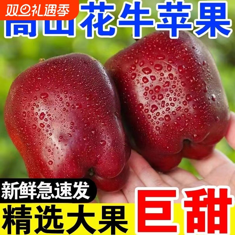 甘肃天水花牛苹果新鲜水果当季正宗平果粉面沙甜婴儿老人苹果整箱