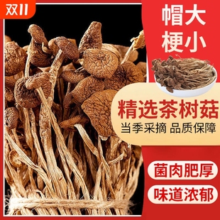 茶树菇干货特级云南蘑菇菌菇类煲汤炒菜一级不开伞山特产食材精选
