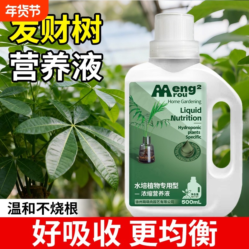 发财树营养液专用肥料浓缩活力素家用盆栽专治黄烂根养花氮磷钾,鲜花速递/花卉仿真/绿植园艺,家庭园艺肥料,淘宝优惠券,粉丝福利购,淘宝优惠卷