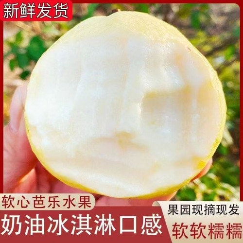 广东奶油白心芭乐番石榴当季水果红心新鲜热带当季5斤装软糯软心