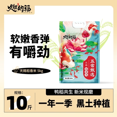 久鲤纳福五常大米10斤现发当季新米东北大米真空包装稻香米优质
