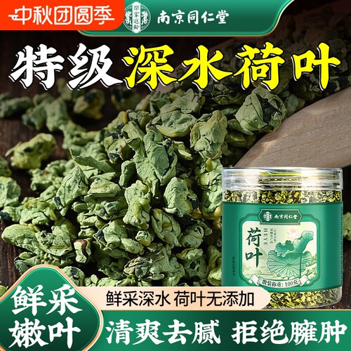 【告别油腻】微山湖特级荷叶茶