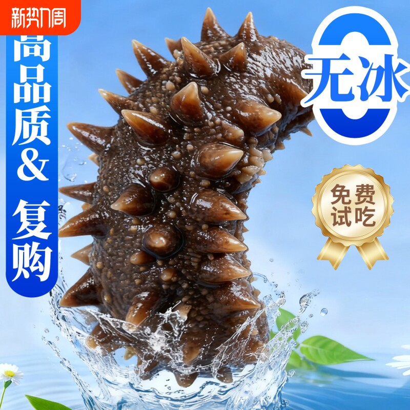 大连海参即食刺参礼盒淡干辽参鲜活生海渗独立包装袋官方旗舰店