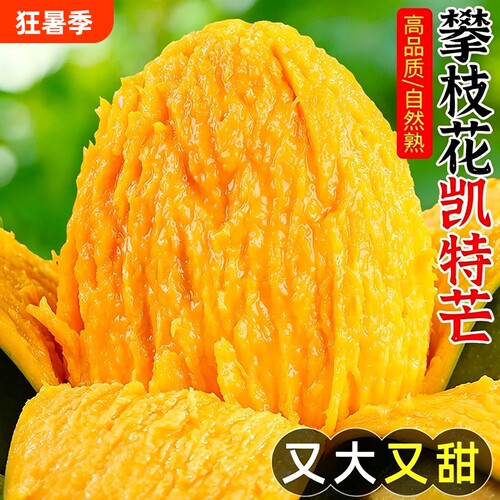 四川攀枝花凯特芒果5-9斤