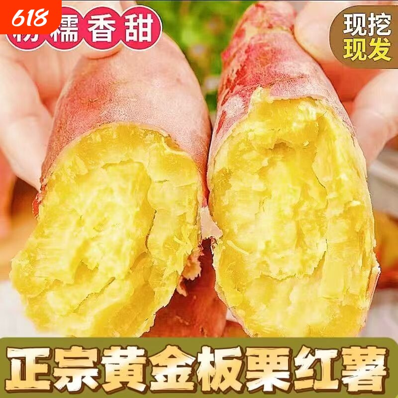 红薯新鲜沙地蜜薯板栗红薯糖心地瓜香薯山芋农家自种现挖红皮黄心
