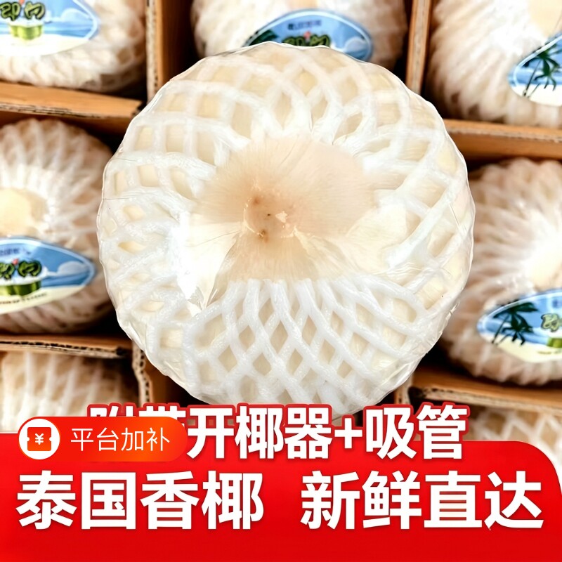 【4/9个装】泰国香水椰青大果当即新鲜现摘现发香水椰子椰汁孕妇