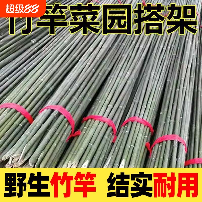 竹竿菜园搭架蔬菜黄瓜竹竿爬藤架图片