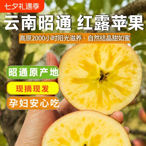 正宗昭通红露丑苹果高原苹果当季新鲜孕妇红富士现摘现发水果糖心