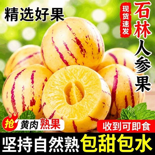 云南石林人参果新鲜树上熟大黄果
