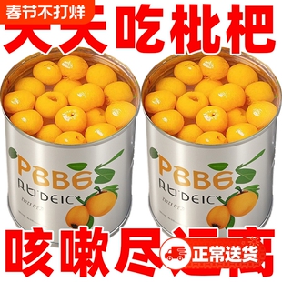 当季新鲜枇杷罐头商用新日期即食品大铁罐装奶茶黄桃西米露年货节