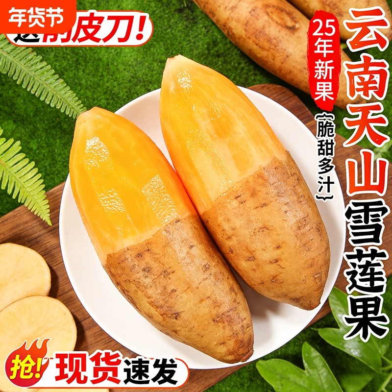 云南天山雪莲果10斤新鲜水果当季现挖脆甜红心雪连果时令大果整箱,水产肉类/新鲜蔬果/熟食,雪莲果,淘宝优惠券,粉丝福利购,淘宝优惠卷