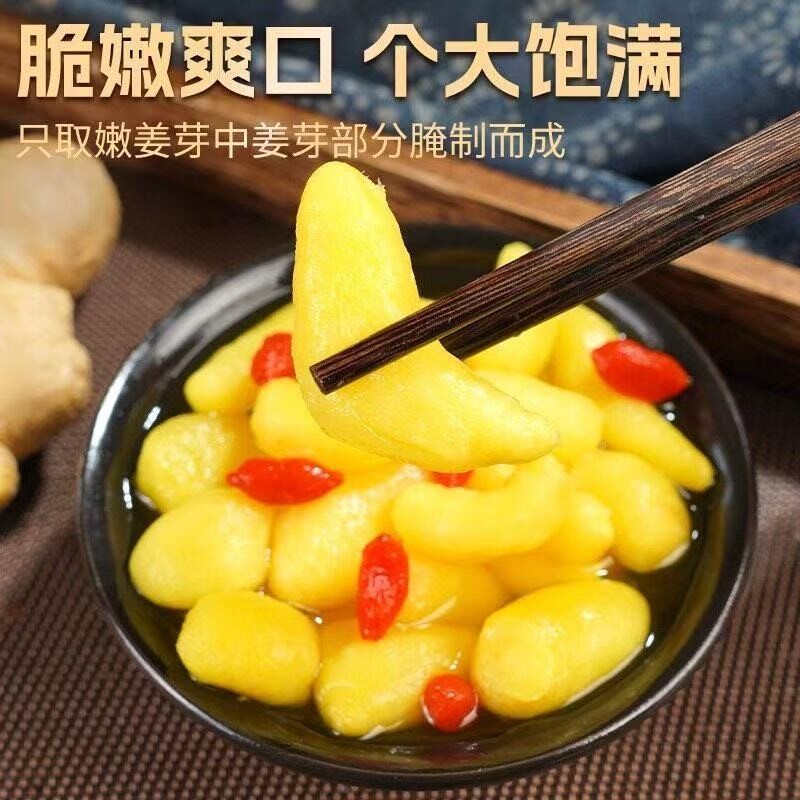 淄博枸杞泡姜芽新鲜嫩姜芽酸甜腌制泡菜下饭菜糖醋生姜片山东特产