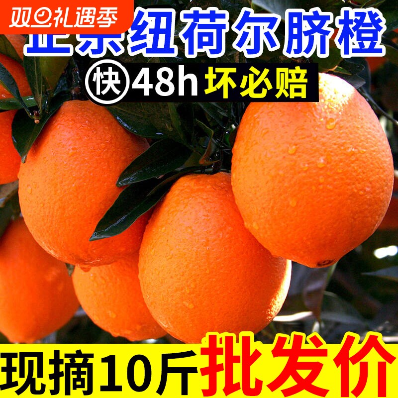 正宗纯甜纽荷尔脐橙子新鲜水果非江西赣州赣南当季大果爆汁批发