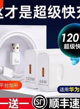 原超级闪充120W充电头套装数据线