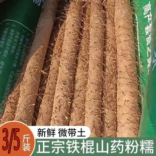 现挖现发河北铁棍山药粉糯香甜垆土产地小白嘴麻山药新鲜蔬菜