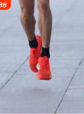 zoom alphafly next% 3男女休闲减震碳板马拉松运动跑步鞋