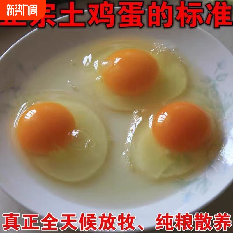 九华山产地直发正宗土鸡蛋虫草蛋农家散养新鲜笨鸡蛋竹林散养顺丰