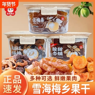 雪海梅乡话梅条酸甜杏脯陈皮冰花杨梅果干果脯休闲零食品追剧解馋
