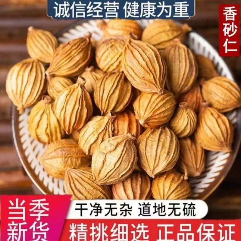 四川香砂仁500g 砂沙仁黄金砂仁优质特产炖肉卤菜调料香料大全
