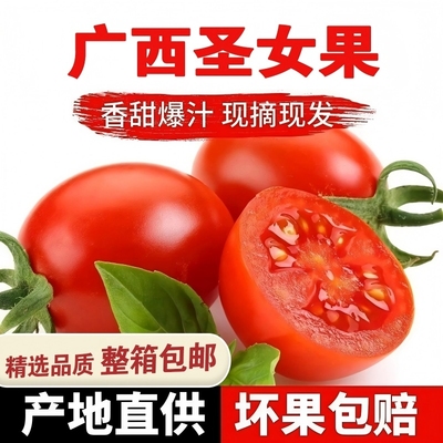 正宗广西千禧果圣女果小番茄樱桃小西红柿新鲜生吃应季水果自提