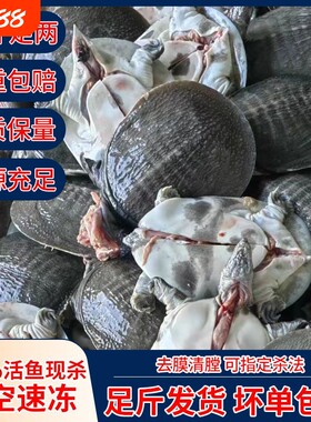 甲鱼杀后净重外塘鲜活宰杀大小老鳖滋补公母中华鳖食用麻辣冷冻