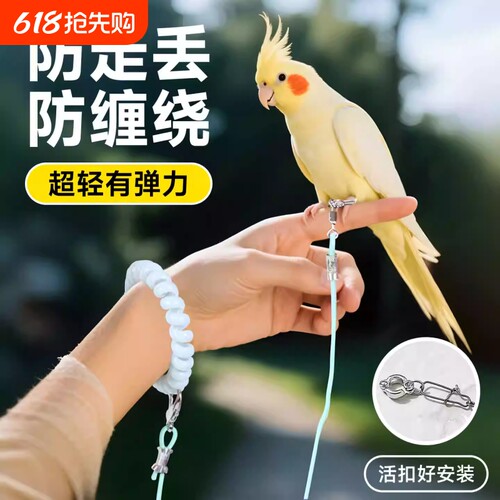 鹦鹉放飞绳超轻训练牵引绳外出遛鸟神器虎皮牡丹玄凤专用绳子八哥