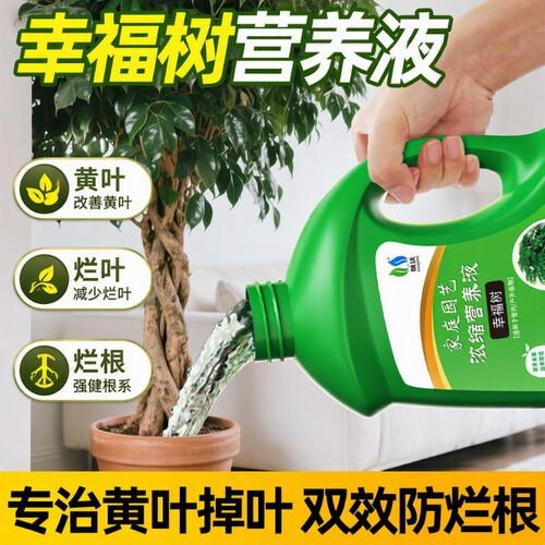 幸福树专用营养液肥料液態肥