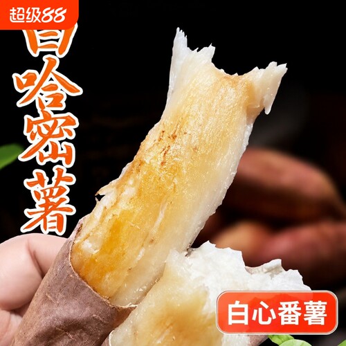 山东哈密冰糖薯4.5斤新鲜甜
