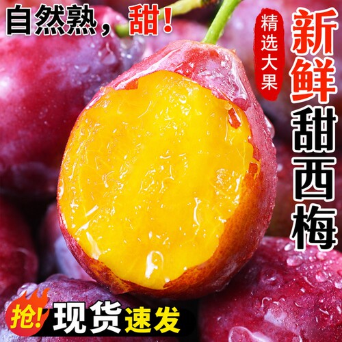 四川高山西梅新鲜当季孕妇水果现摘法兰西鲜果李子整箱大果优质