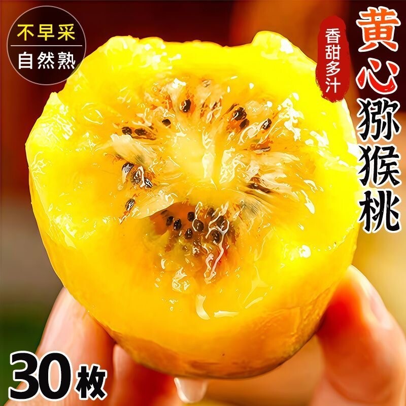 现货四川黄心猕猴桃大果新鲜现摘孕妇水果浦江奇异果整箱自然黄金图片