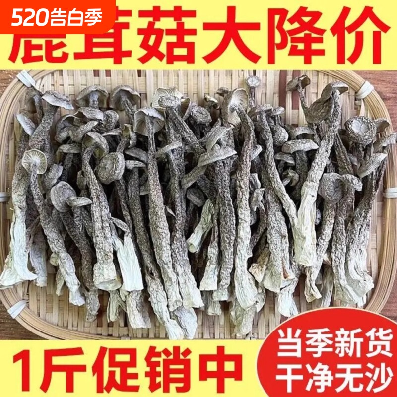 碎块鹿茸菇干货鹿茸菌批发商用香菇蘑菇煲汤炒菜菇的食用巴巴