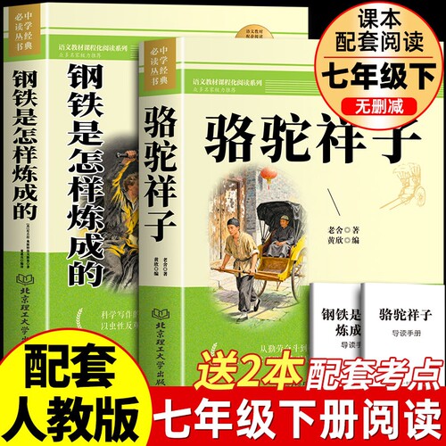 骆驼祥子和钢铁是怎样炼成的海底两万里正版书原著老舍著七年级下册必读的课外书初中生初一下册青少年读物人教版完整版无删减td