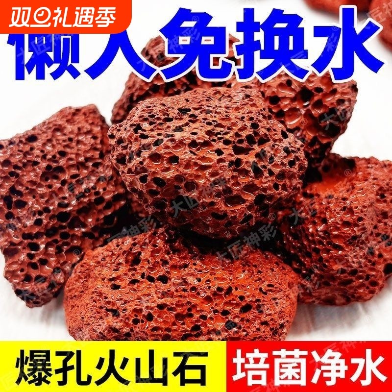 鱼缸专用火山石水族生态造景底砂大块火山岩颗粒古法养鱼过滤铺底